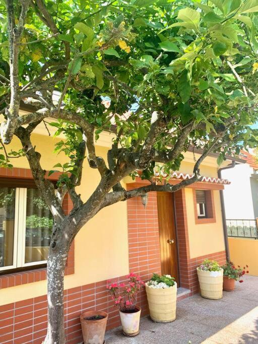 Top Beach House Costa da Caparica Exterior foto